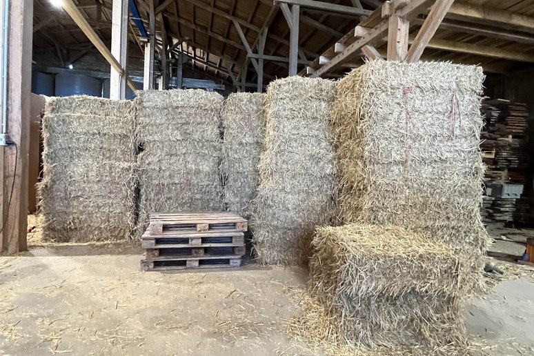 Bild zeigt Strohballen in Produktionshalle