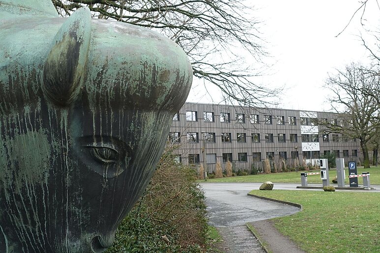 Steinbulle, im Hintergrund Verwaltungsgebäude Tierpark