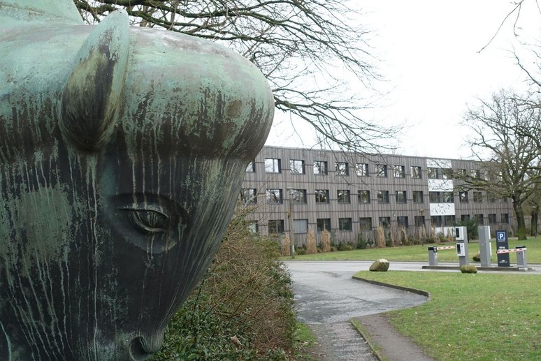 Steinbulle, im Hintergrund Verwaltungsgebäude Tierpark