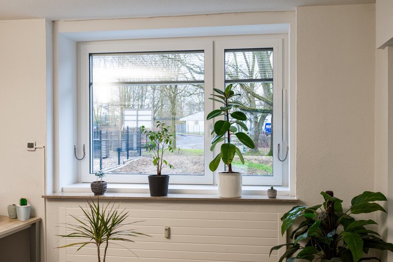 Blick durch das Fenster einer Wohnung, auf der Fensterbank Topfblumen