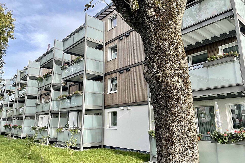 Gebäude hinter Baum vor Wiese mit Balkonen