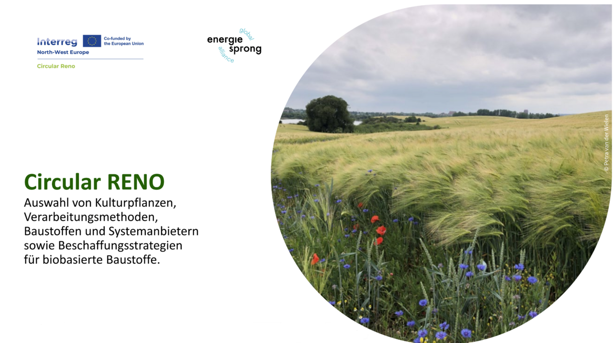 Circular Reno Leitfaden zur Auswahl von Kulturpflanzen, Verarbeitungsmethoden, Baustoffen und Systemanbietern sowie Beschaffungsstrategien für biobasierte Baustoffe Bild zeigt Titel eines Leitfadens mit einem Bild eines Feldes