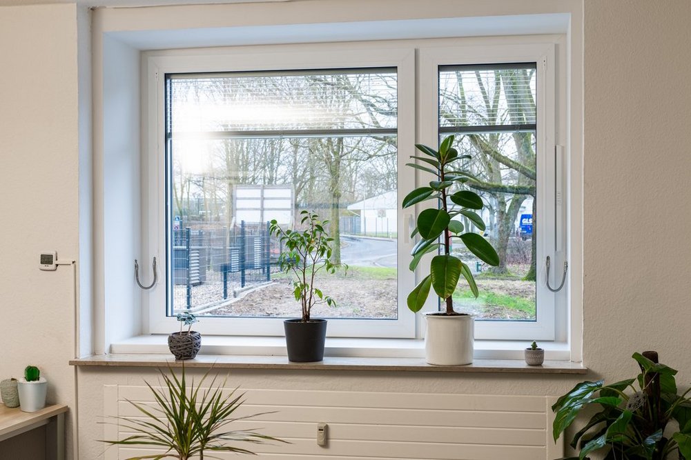 Blick auf ein Fenster mit Pflanzen auf der Fensterbank