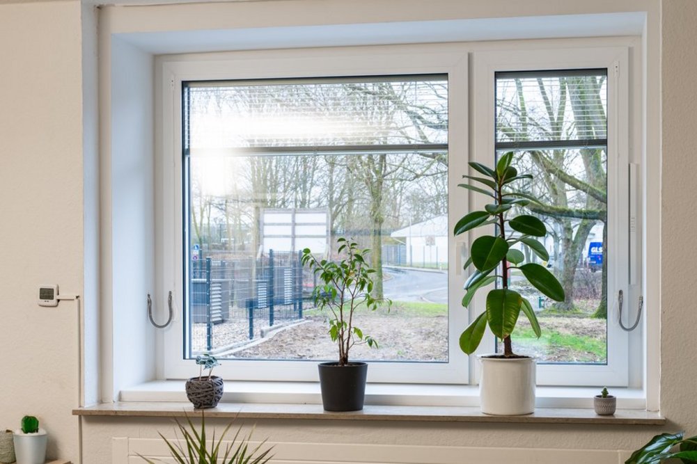 Blick auf ein Fenster mit Pflanzen auf der Fensterbank