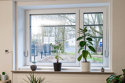 Blick auf ein Fenster mit Pflanzen auf der Fensterbank