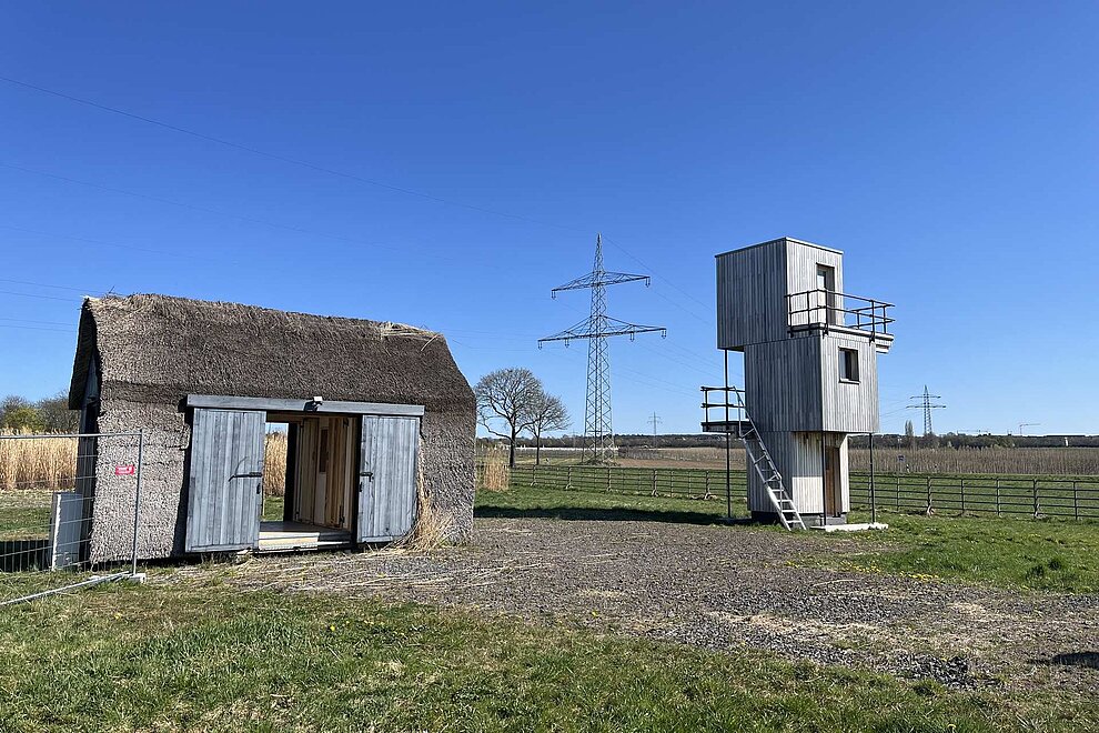 Haus und Turm auf Wiese